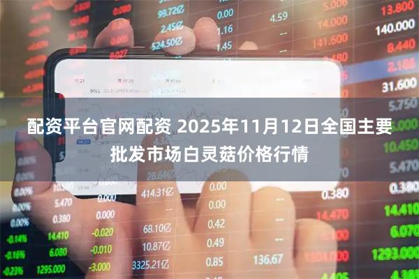 配资平台官网配资 2025年11月12日全国主要批发市场白灵菇价格行情