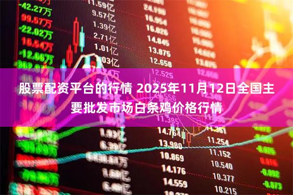 股票配资平台的行情 2025年11月12日全国主要批发市场白条鸡价格行情