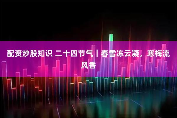 配资炒股知识 二十四节气｜春雪冻云凝，寒梅流风香