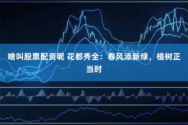 啥叫股票配资呢 花都秀全：春风添新绿，植树正当时