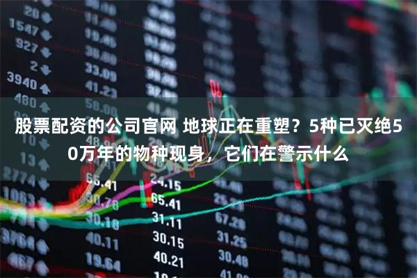 股票配资的公司官网 地球正在重塑？5种已灭绝50万年的物种现身，它们在警示什么